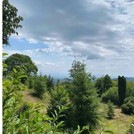 Lejlighed - Le Belvedere - *